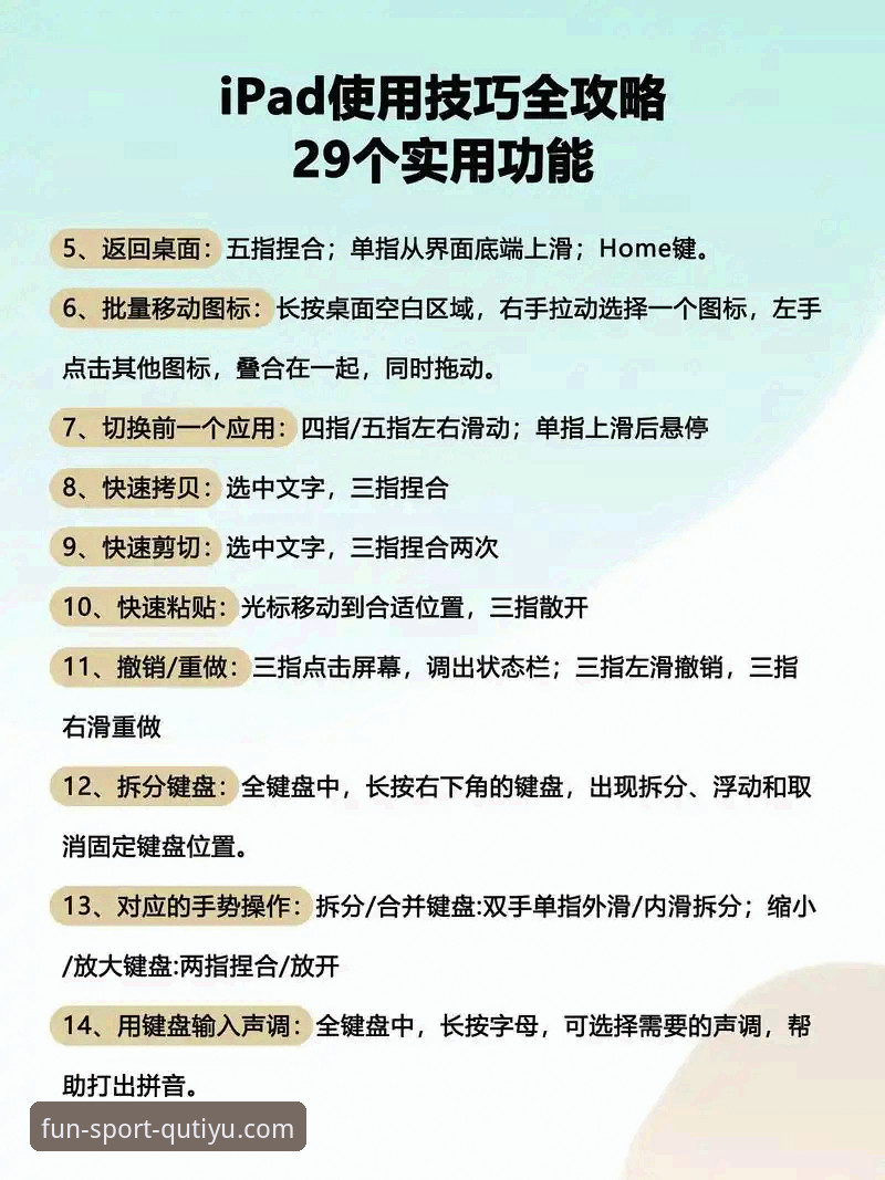 趣体育平台使用技巧对比分析：新手进阶vs专家玩法，哪种更适合你？